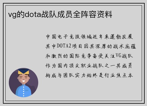 vg的dota战队成员全阵容资料